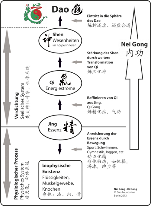 Infografik Nei-Gong Qi-Gong - Dao Foundation Berlin