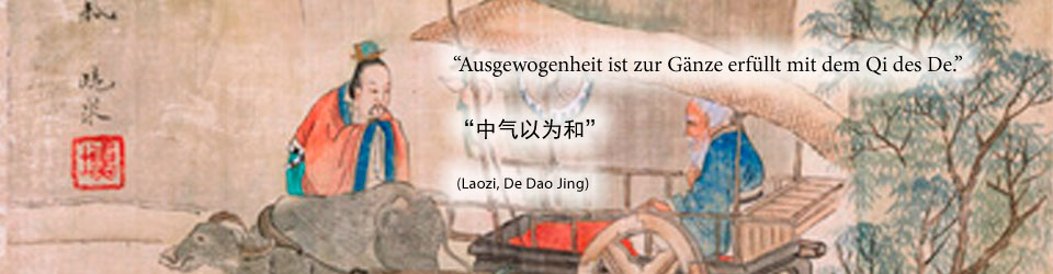 Zitat Laozi 17
